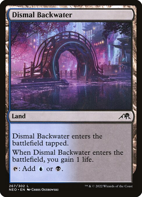 Dismal Backwater