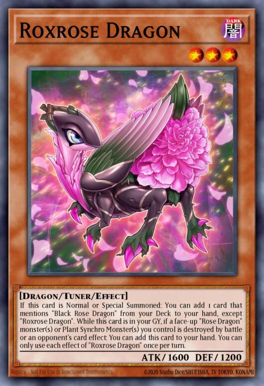 Roxrose Dragon