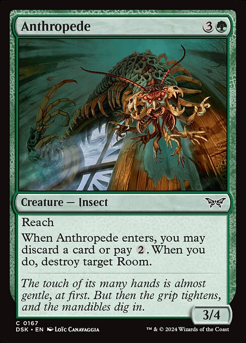 Anthropede